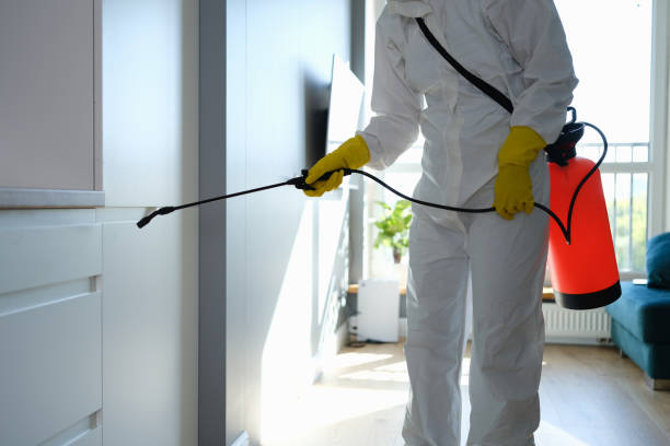 Mold Remediation for Rental Properties in Durand, IL